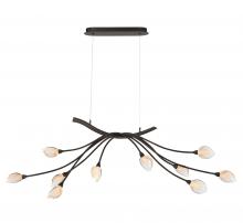 Lib & Co. US 12234-043 - Modena, 10 Light Oval LED Chandelier, Black with Gold Accent