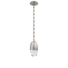 Hammerton LNB0079-01-BS-PC-CH1-L1 - Pebble Pendant with Chain