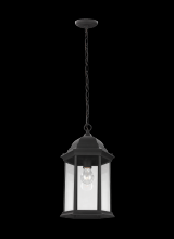 Generation Lighting 6238701-12 - Sevier One Light Outdoor Pendant