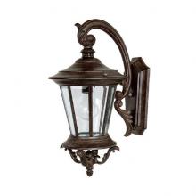 Capital 9751TS - One Light Tortoise Wall Lantern