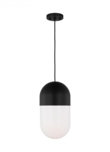 Visual Comfort & Co. Studio Collection DJP1141MBK - Medium Pendant
