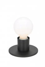 Nuvo 60/4804 - 1 Light; Dual Surface Mount Fixture; Medium Base; Dark Bronze Finish